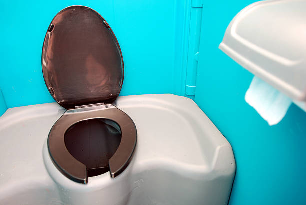 Best Sanitation services for porta potties  in Princeton, MN